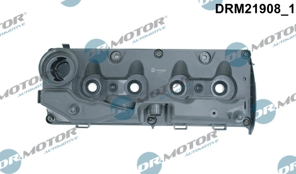 Cylinder Head Cover DRM21908