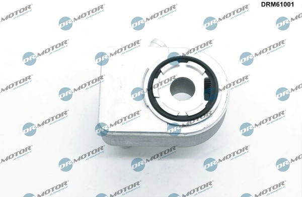 Oil Cooler, engine oil DRM61001