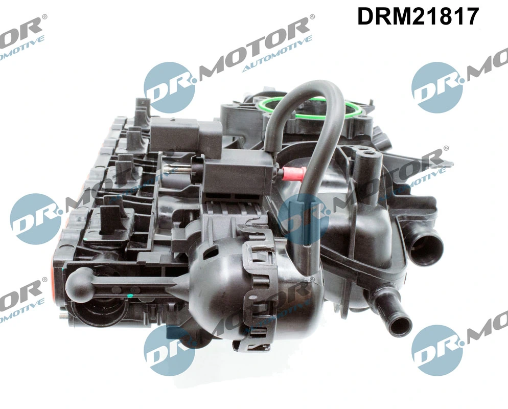 Intake Manifold Module DRM21817