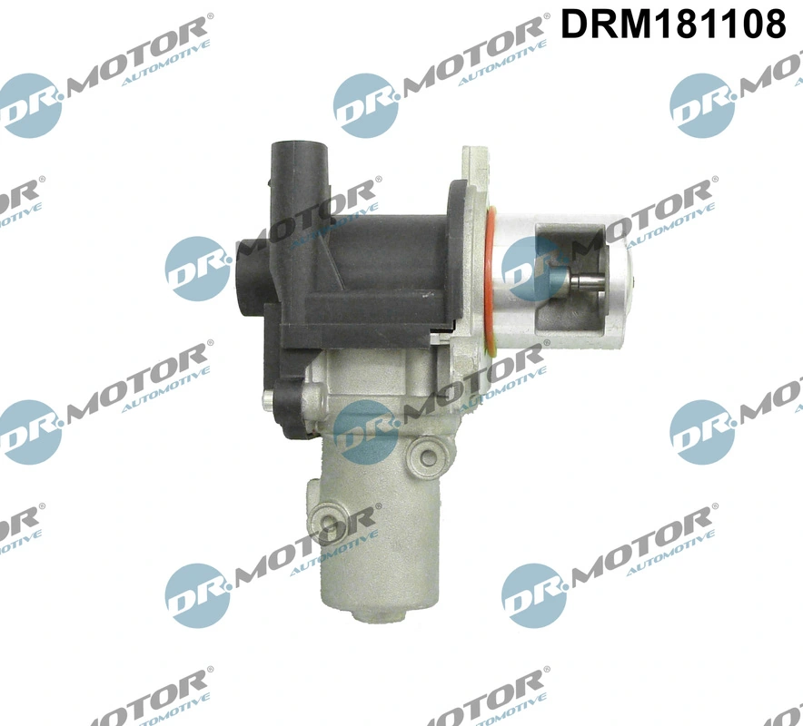 EGR Valve DRM181108