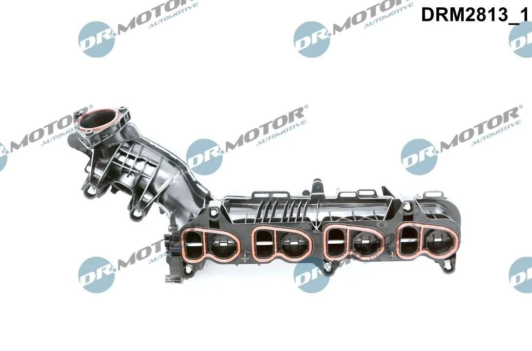 Intake Manifold Module DRM2813
