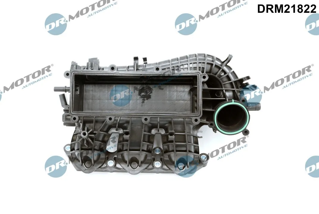 Intake Manifold Module DRM21822