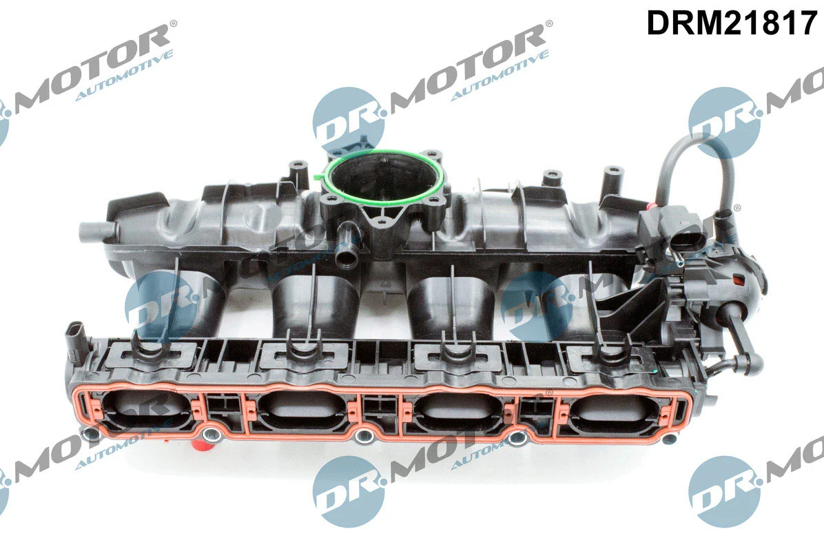 Intake Manifold Module DRM21817