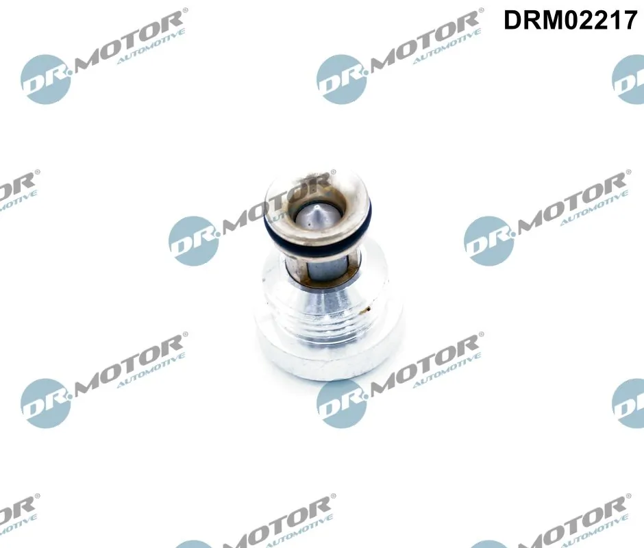 Non-Return Valve DRM02217