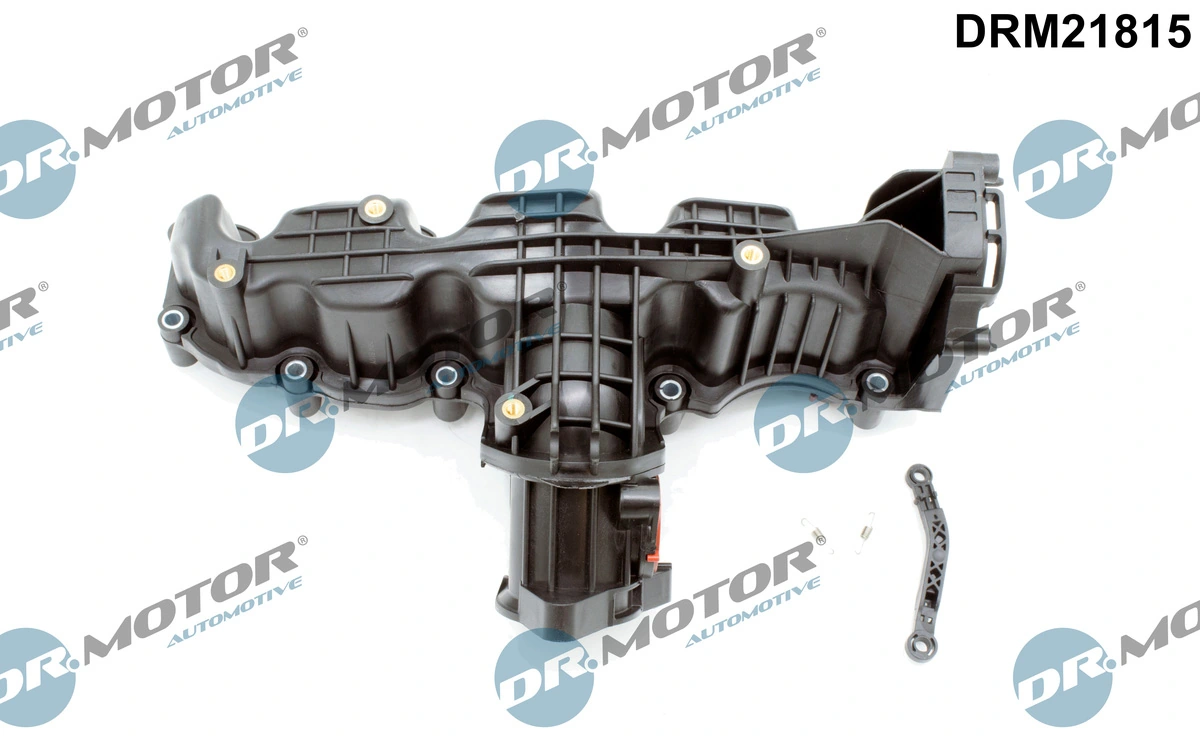 Intake Manifold Module DRM21815