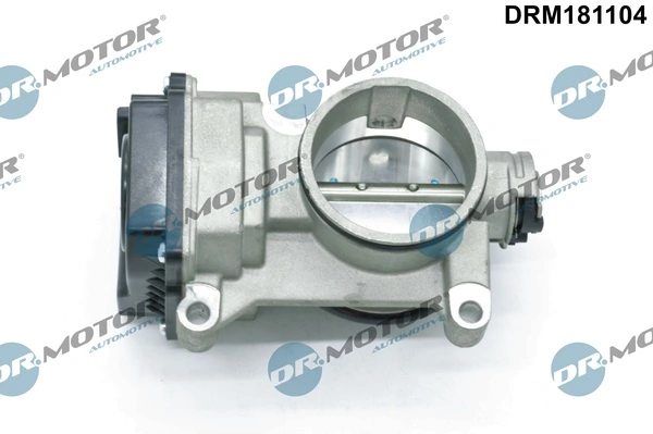Throttle Body DRM181104