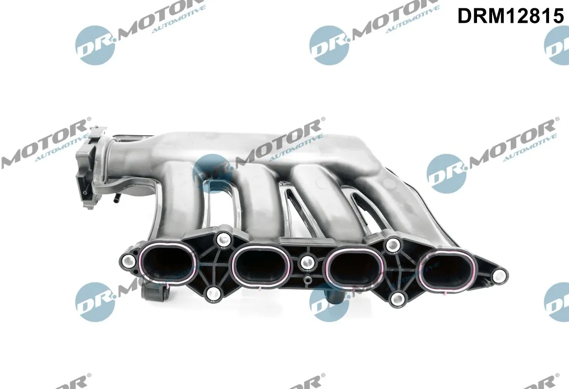Intake Manifold Module DRM12815
