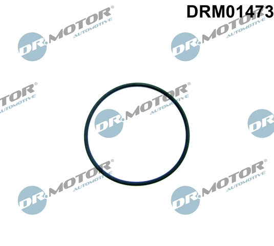Gasket, fuel pump DRM01473
