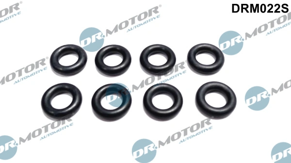 Seal Ring, injector DRM022S