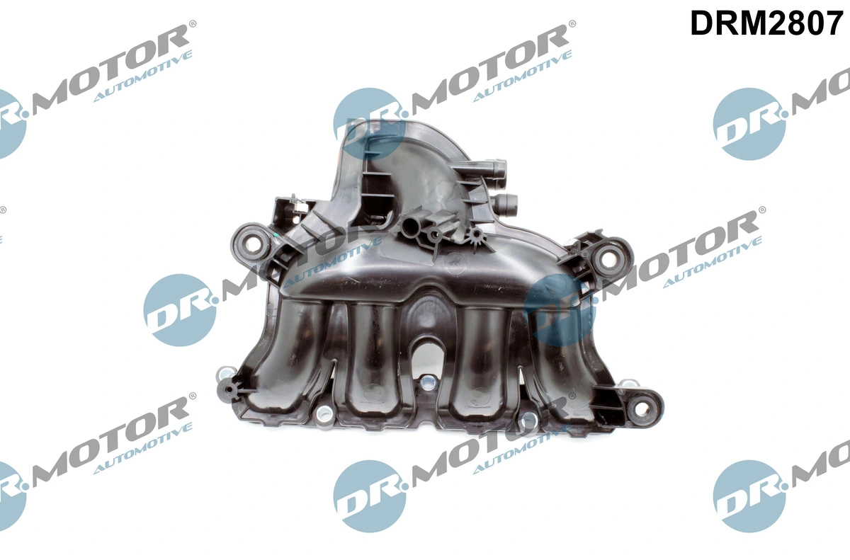 Intake Manifold Module DRM2807