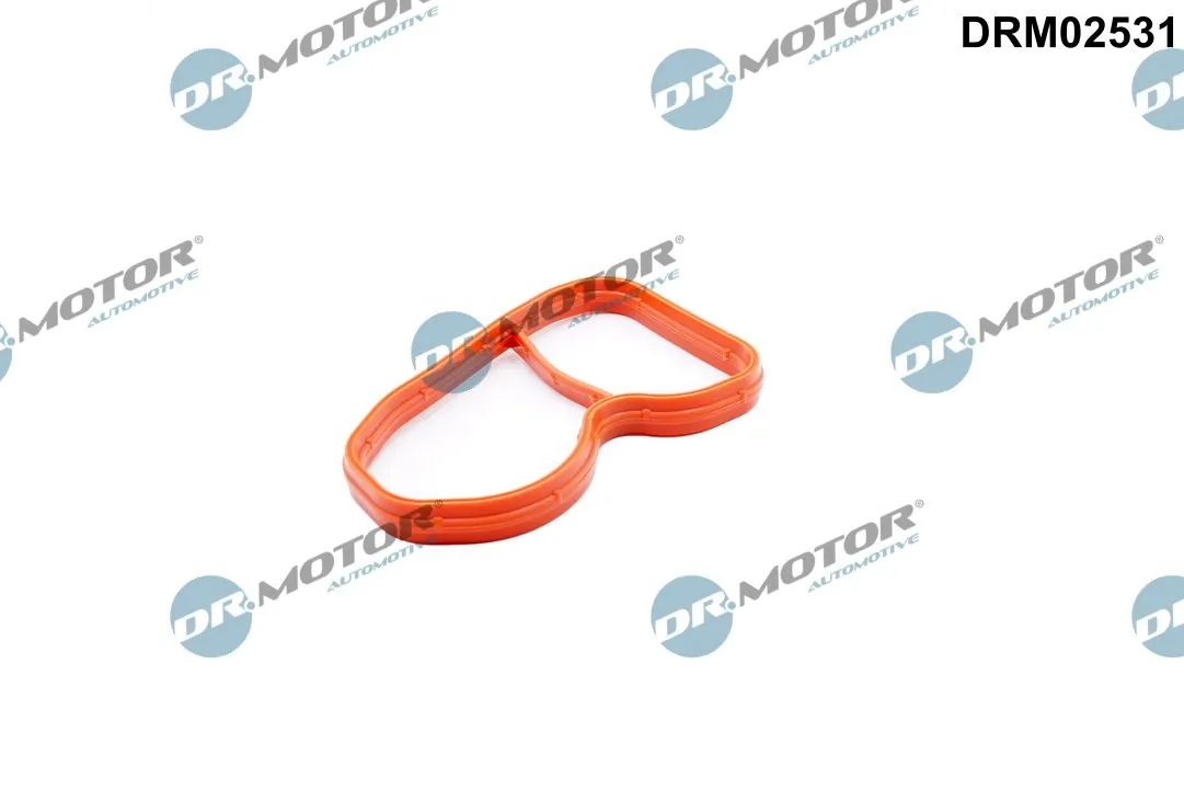 Gasket, intake manifold DRM02531