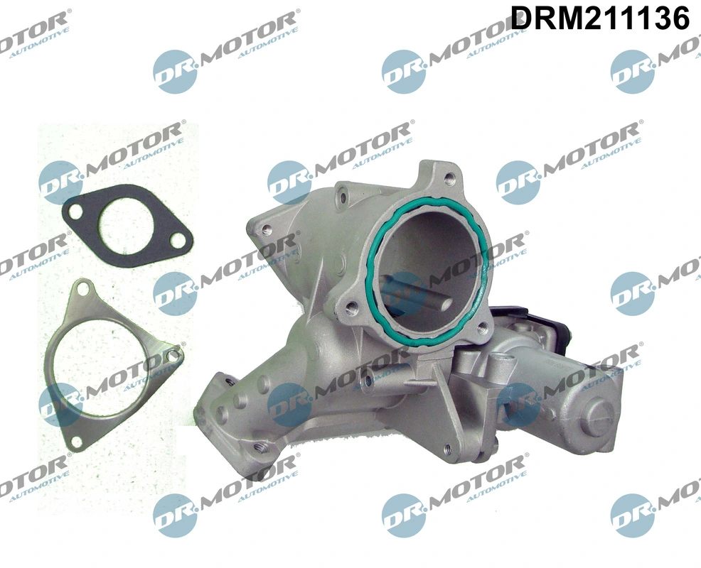 EGR Module DRM211136