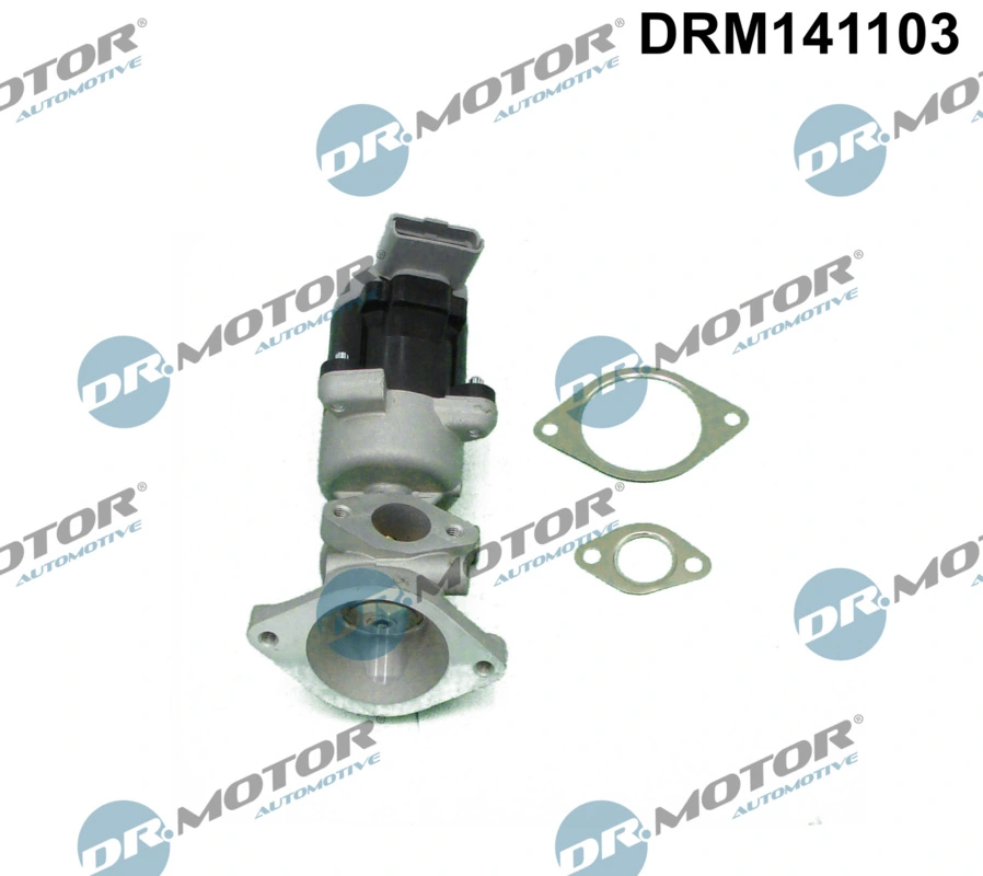 EGR Valve DRM141103