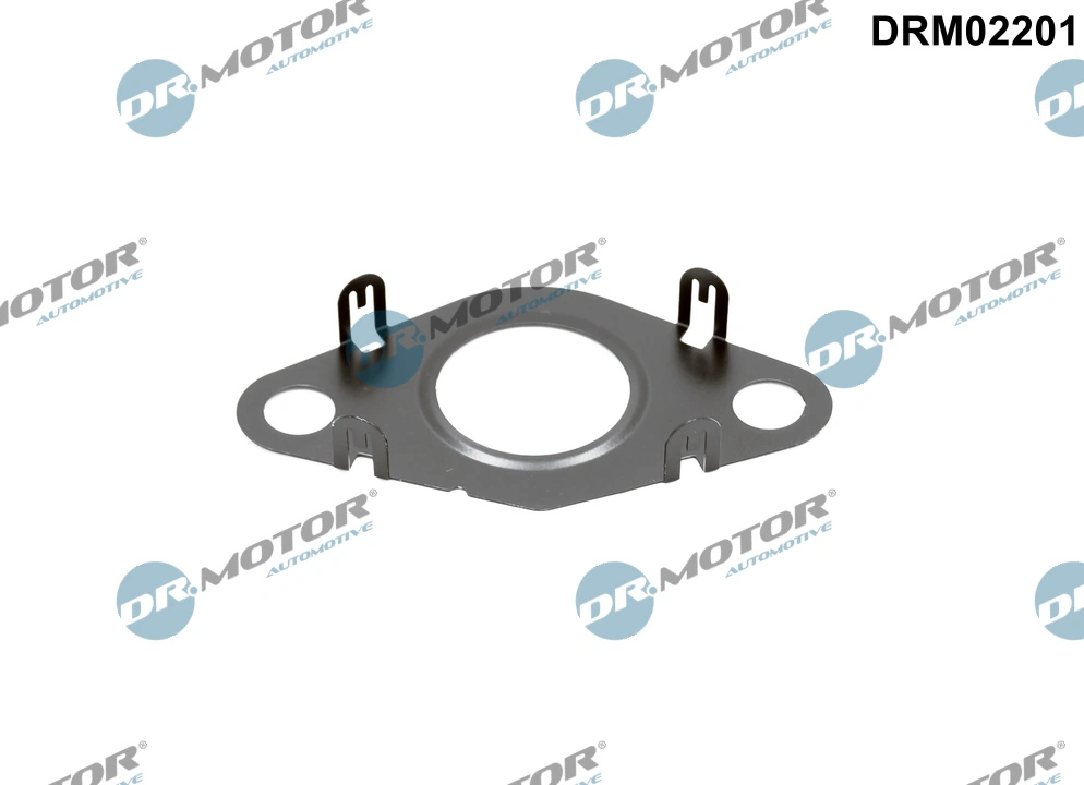 Gasket, EGR valve pipe DRM02201