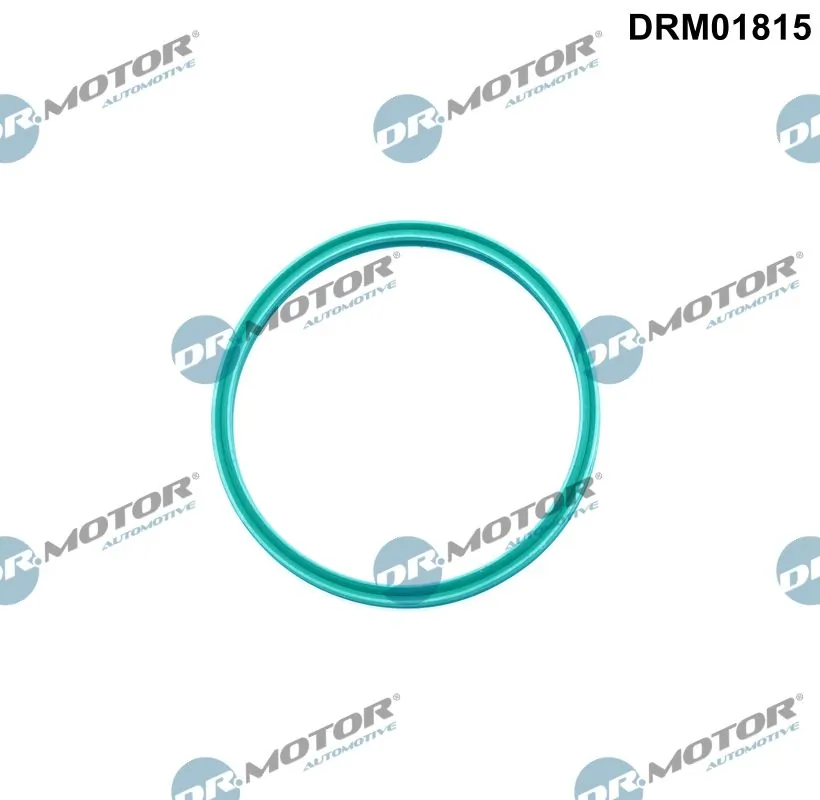 Seal Ring, charge air hose DRM01815