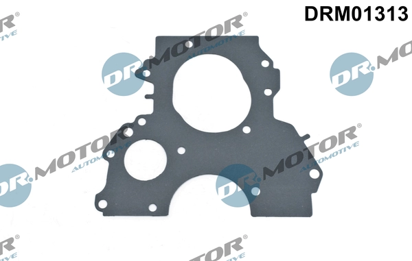 Gasket, timing case DRM01313