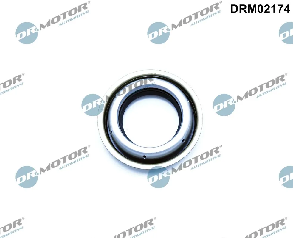 Shaft Seal, differential DRM02174