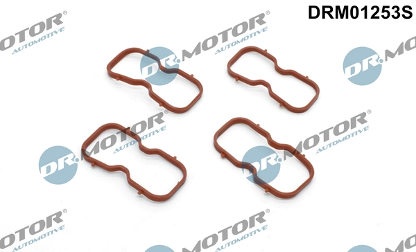 Gasket Set, intake manifold DRM01253S