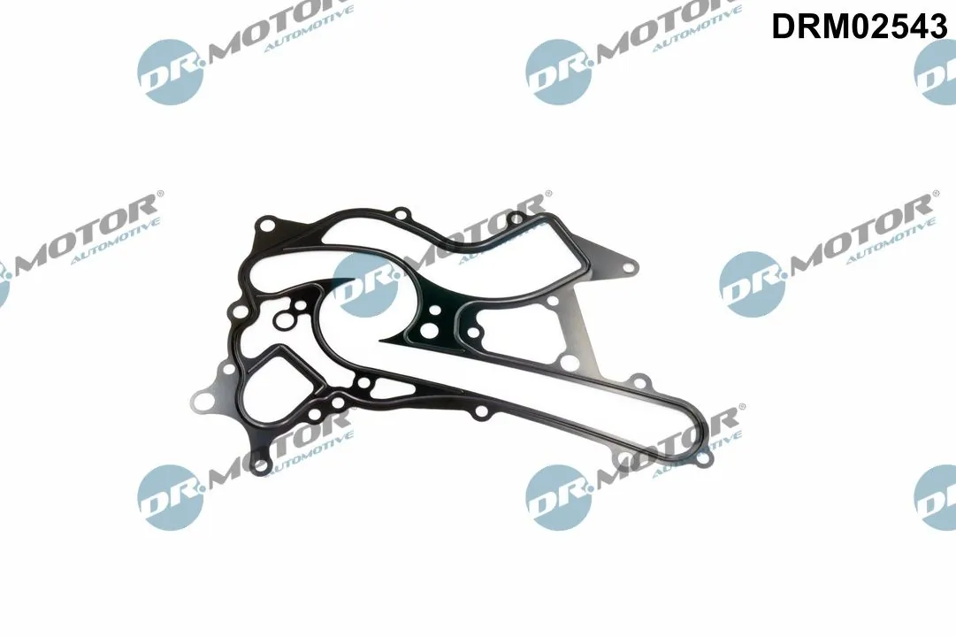 Gasket, water pump DRM02543