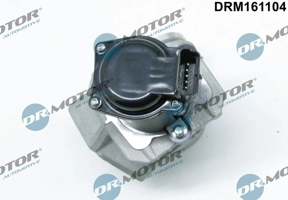 EGR Valve DRM161104