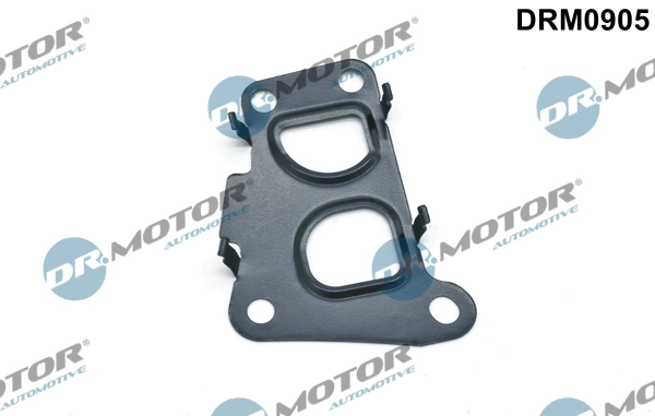 Gasket, EGR valve DRM0905