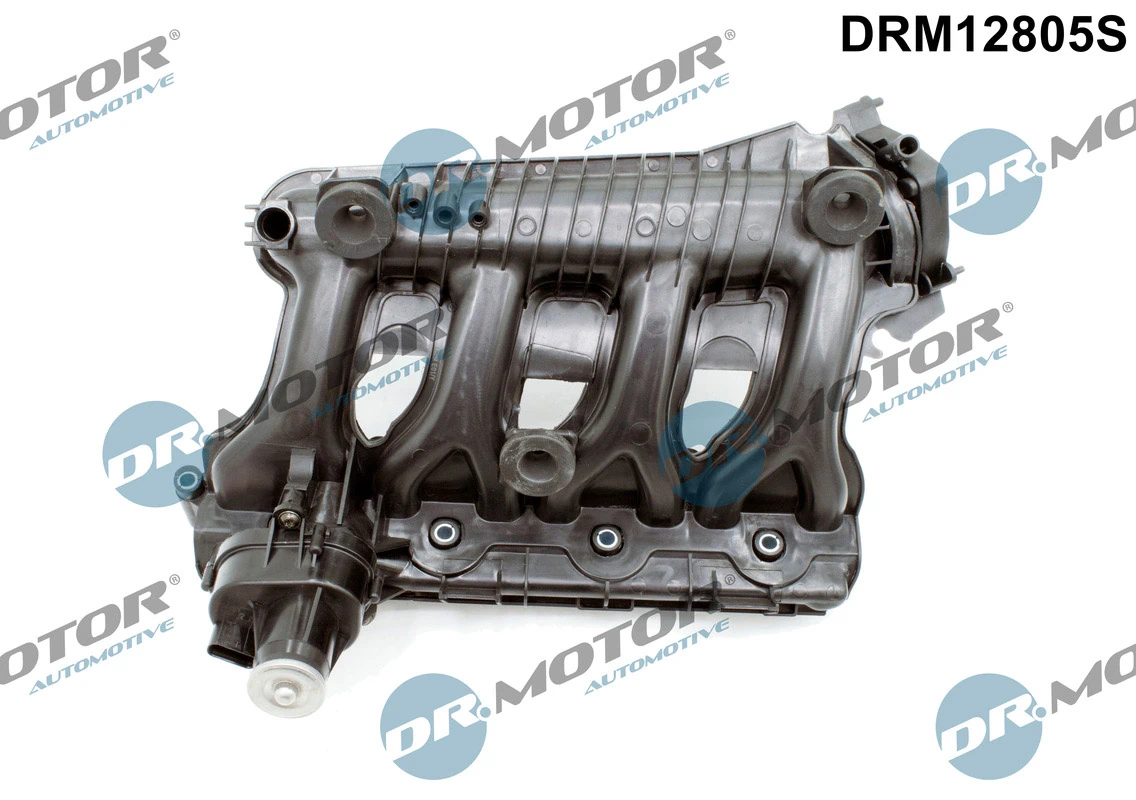Intake Manifold Module DRM12805S