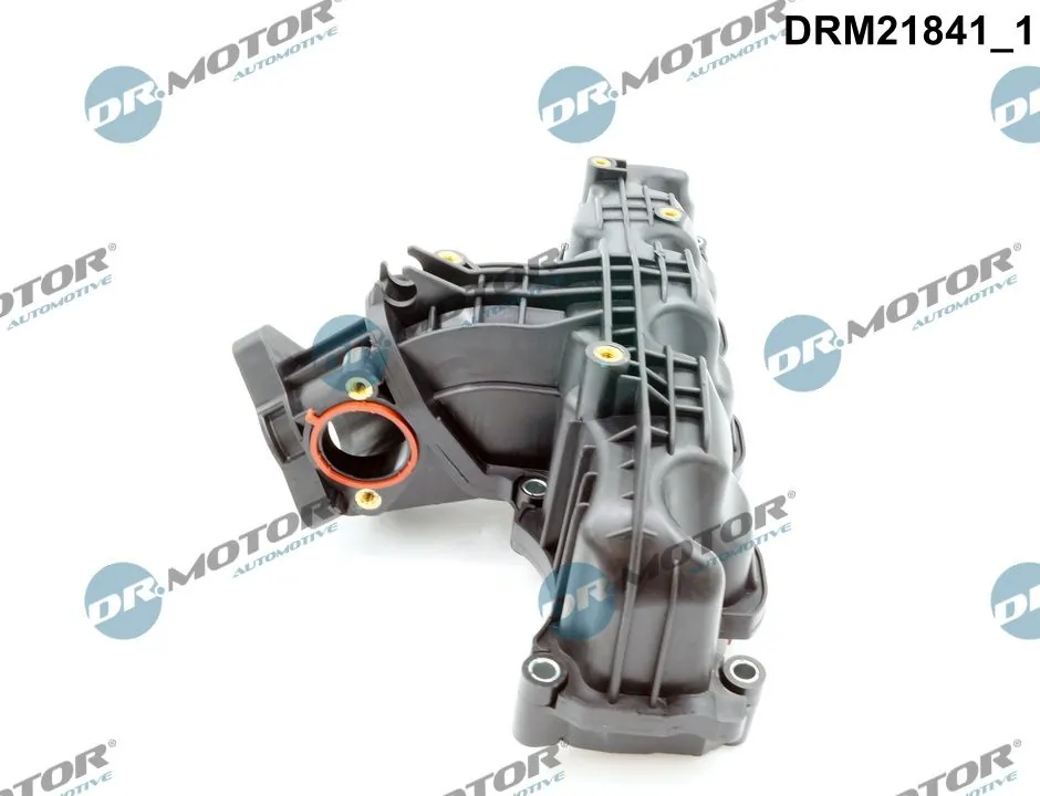 Intake Manifold Module DRM21841