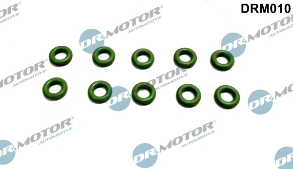 Seal Ring, injector DRM010