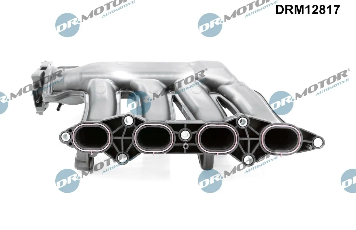 Dr.Motor Automotive DRM12817 Intake Manifold Module