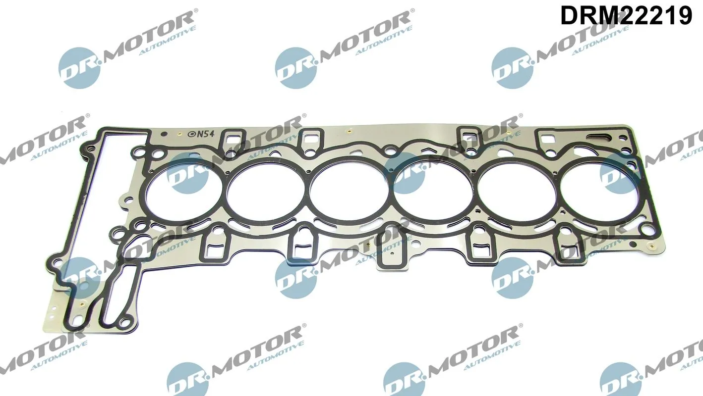 Gasket, cylinder head DRM22219