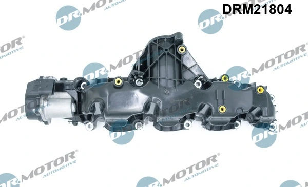 Intake Manifold Module DRM21804