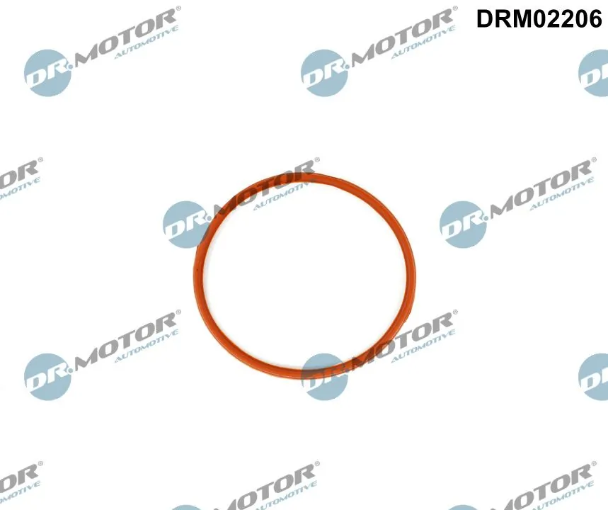 Gasket, throttle body DRM02206