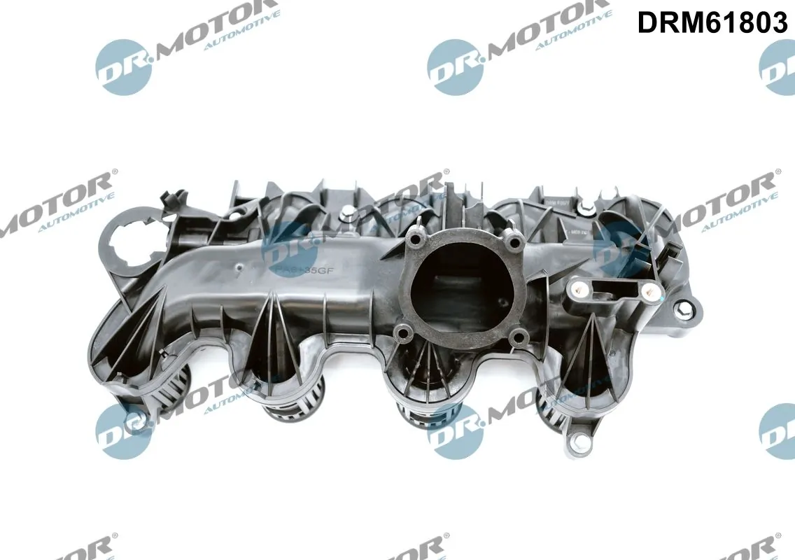 Intake Manifold Module DRM61803