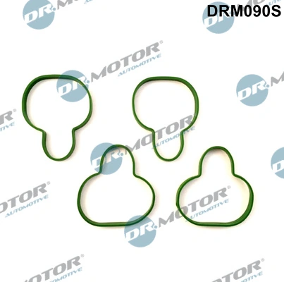 Gasket Set, intake manifold DRM090S