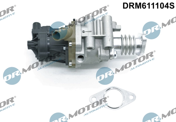 EGR Valve DRM611104S