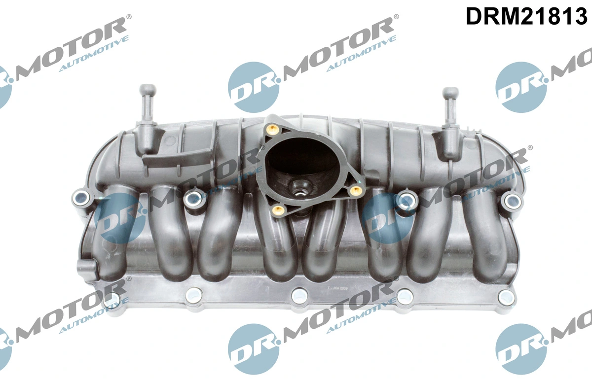 Intake Manifold Module DRM21813