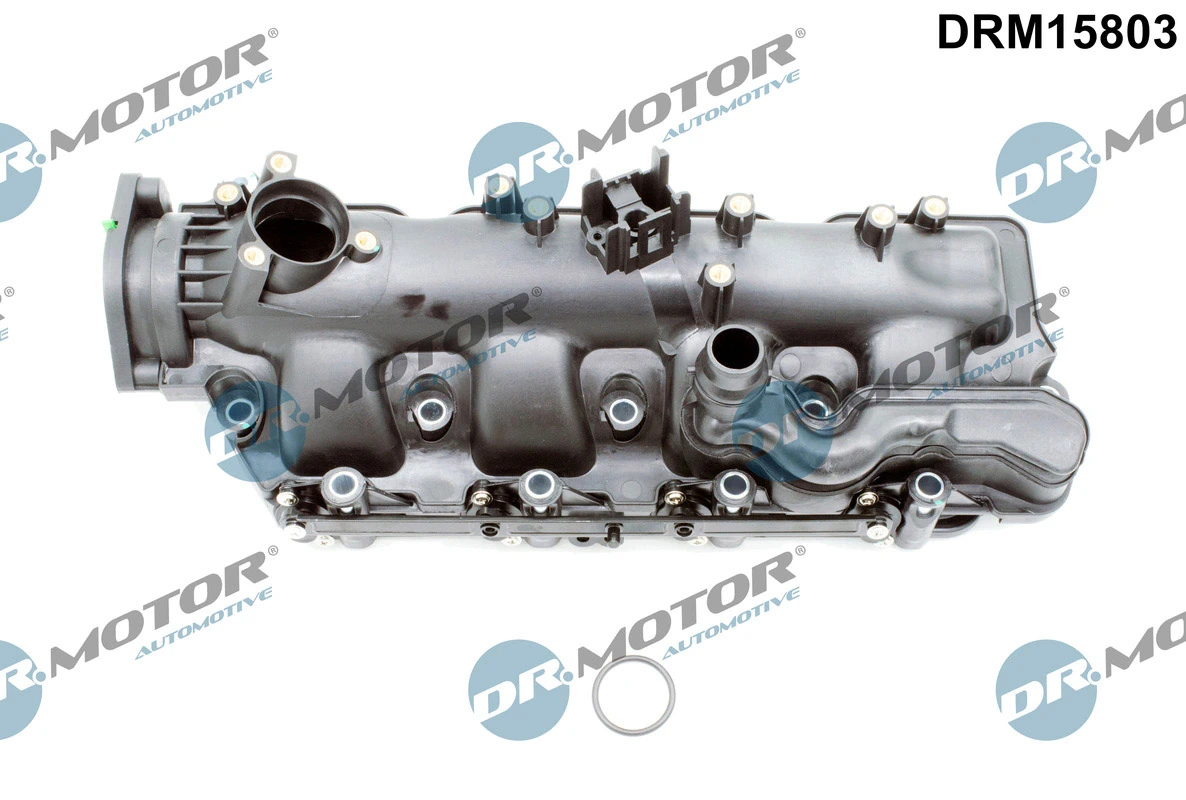 Intake Manifold Module DRM15803