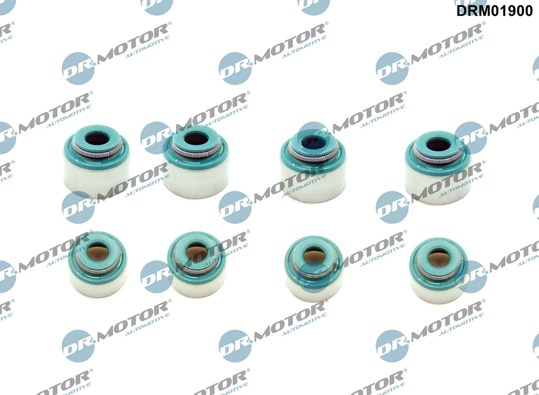 Seal Ring, valve stem DRM01900