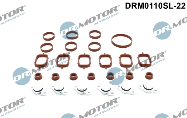 Repair Kit, intake manifold module DRM0110SL-22