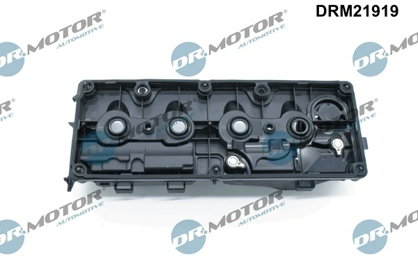 Cylinder Head Cover DRM21919
