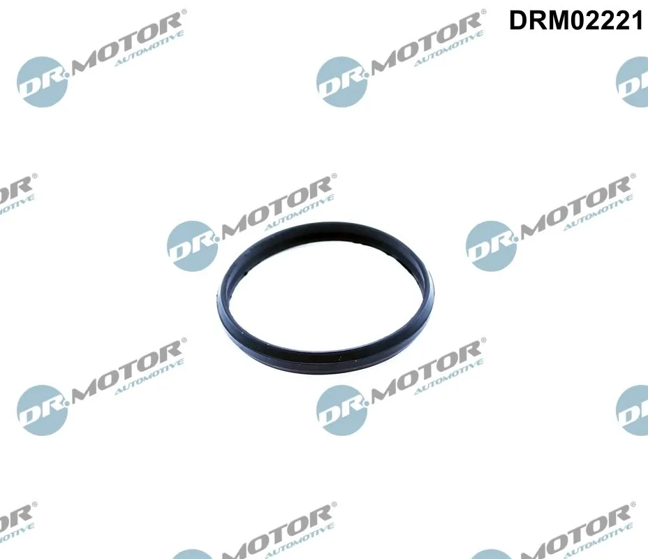 Seal, timing chain tensioner DRM02221