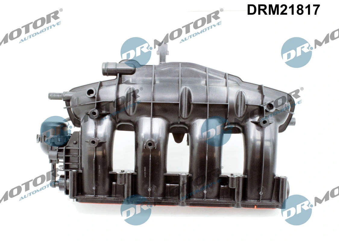 Intake Manifold Module DRM21817