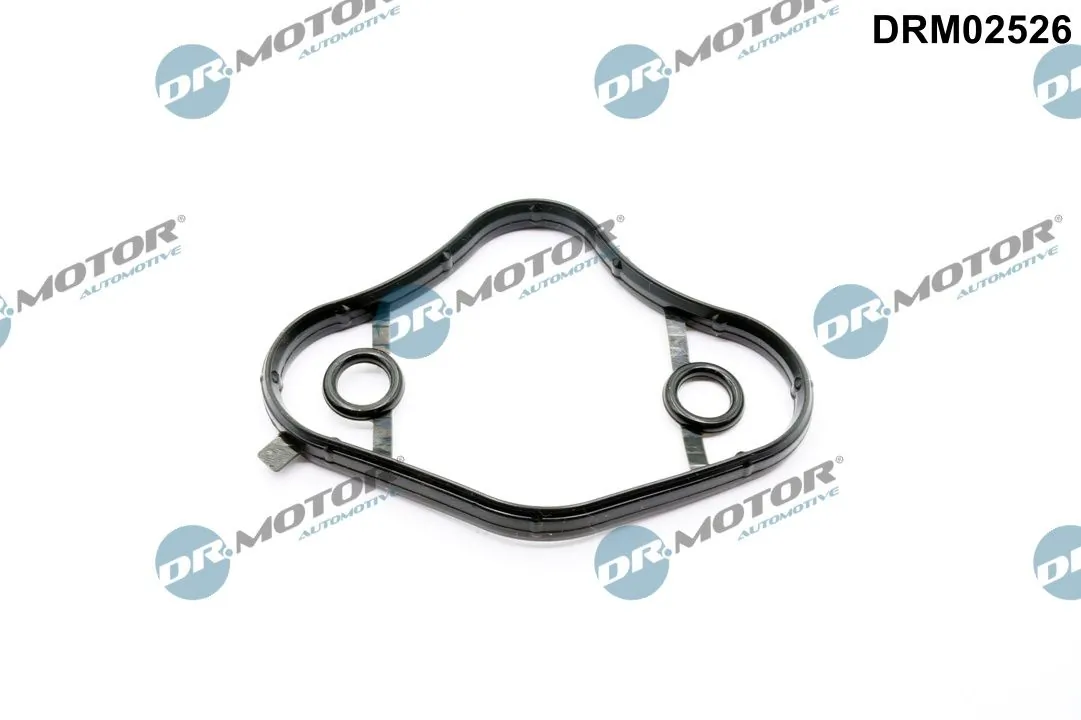 Gasket, fuel pump DRM02526