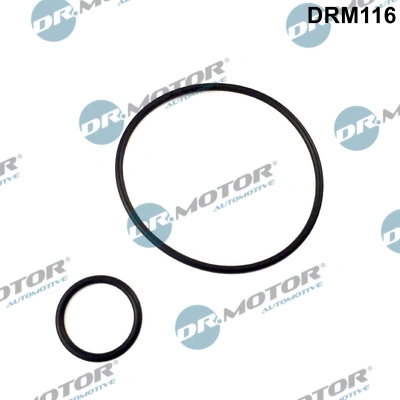 Gasket Set, intake manifold DRM116