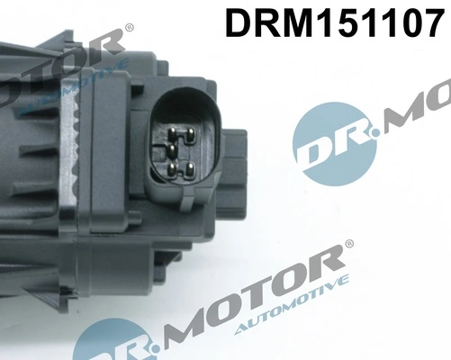 EGR Valve DRM151107