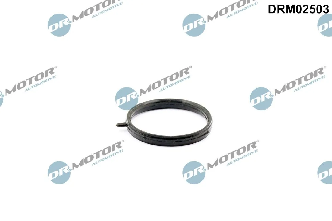 Seal, coolant pipe DRM02503