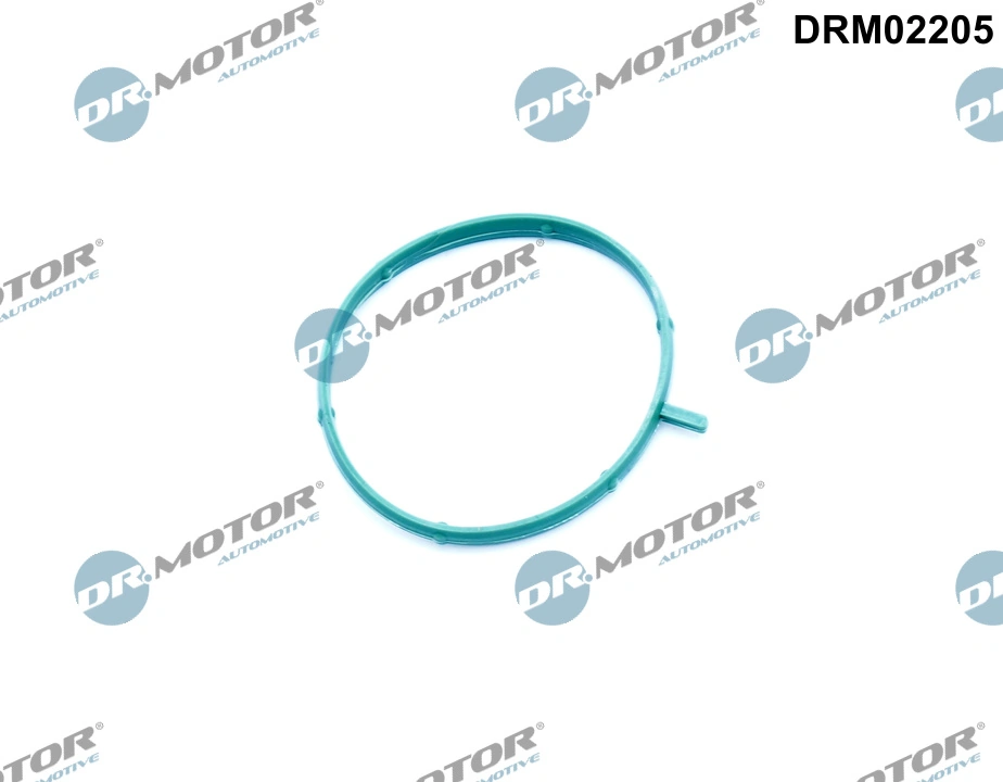 Gasket, thermostat housing DRM02205