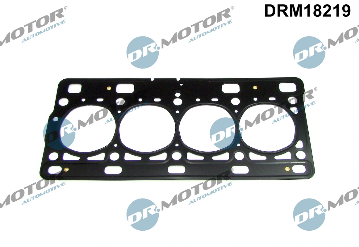 Gasket, cylinder head DRM18219
