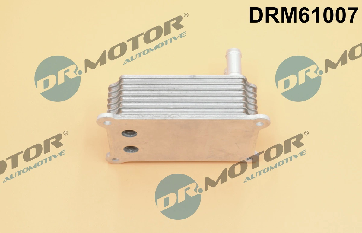 Oil Cooler, engine oil DRM61007