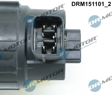 EGR Valve DRM151101